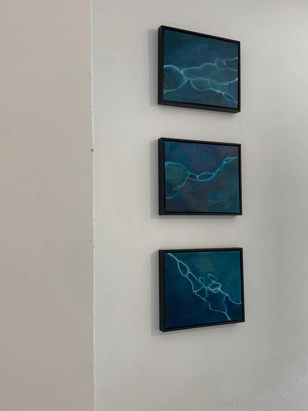 Exhibition install