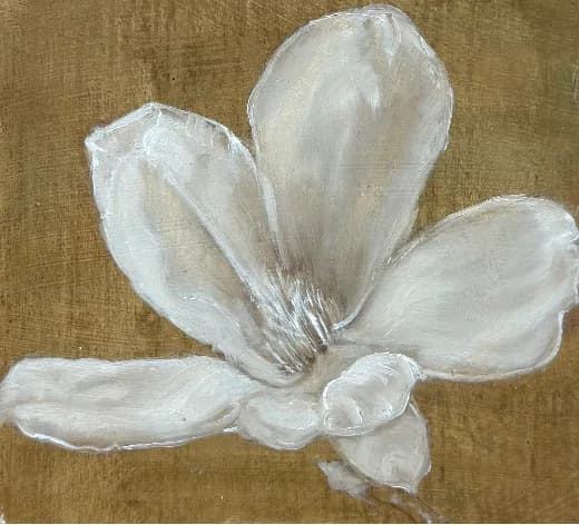 Magnolia III